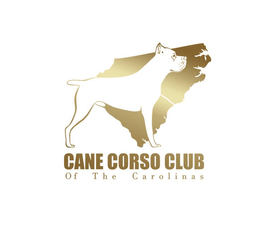 Cane Corso Club of the Carolina's